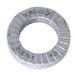1/4 in. Nord-Lock Washer - am-1694 - migrated